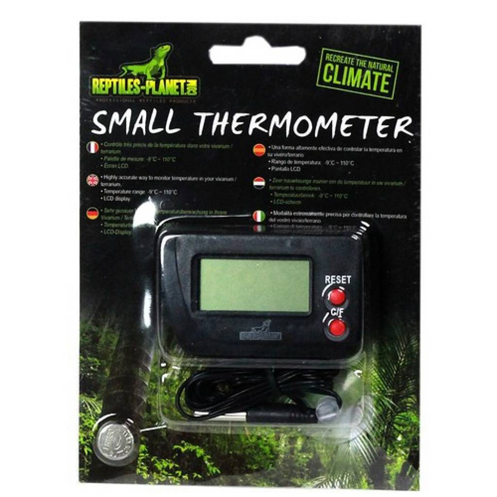 Thermometer mit Fühler